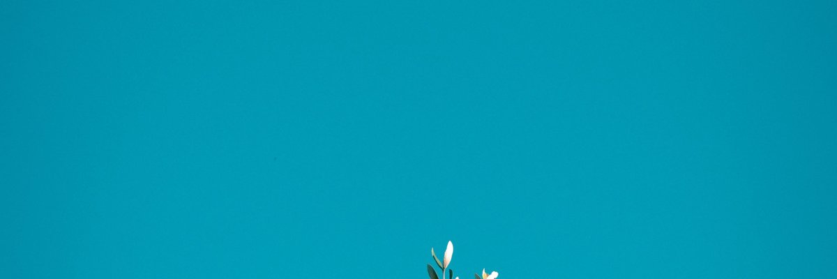 Youtube Video + Teaser image