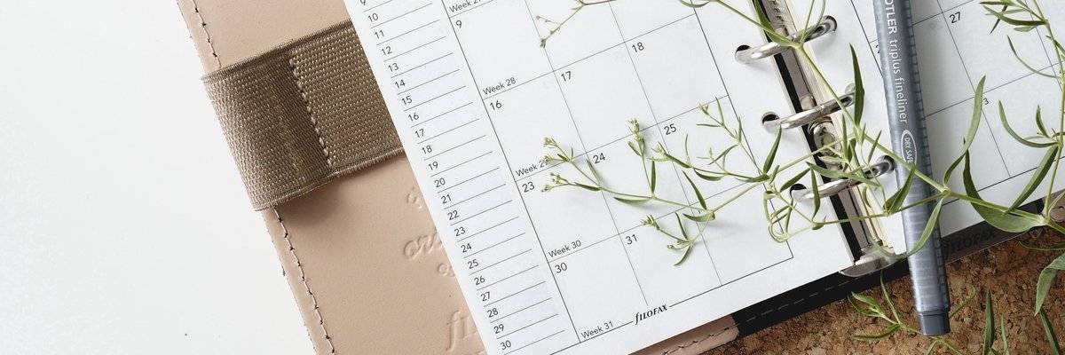Copy of Scheduled Article